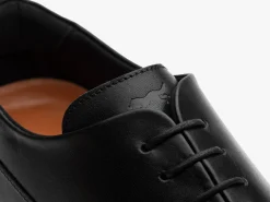 Wolf & Shepherd Crossover™ Longwing><noscript><img width=