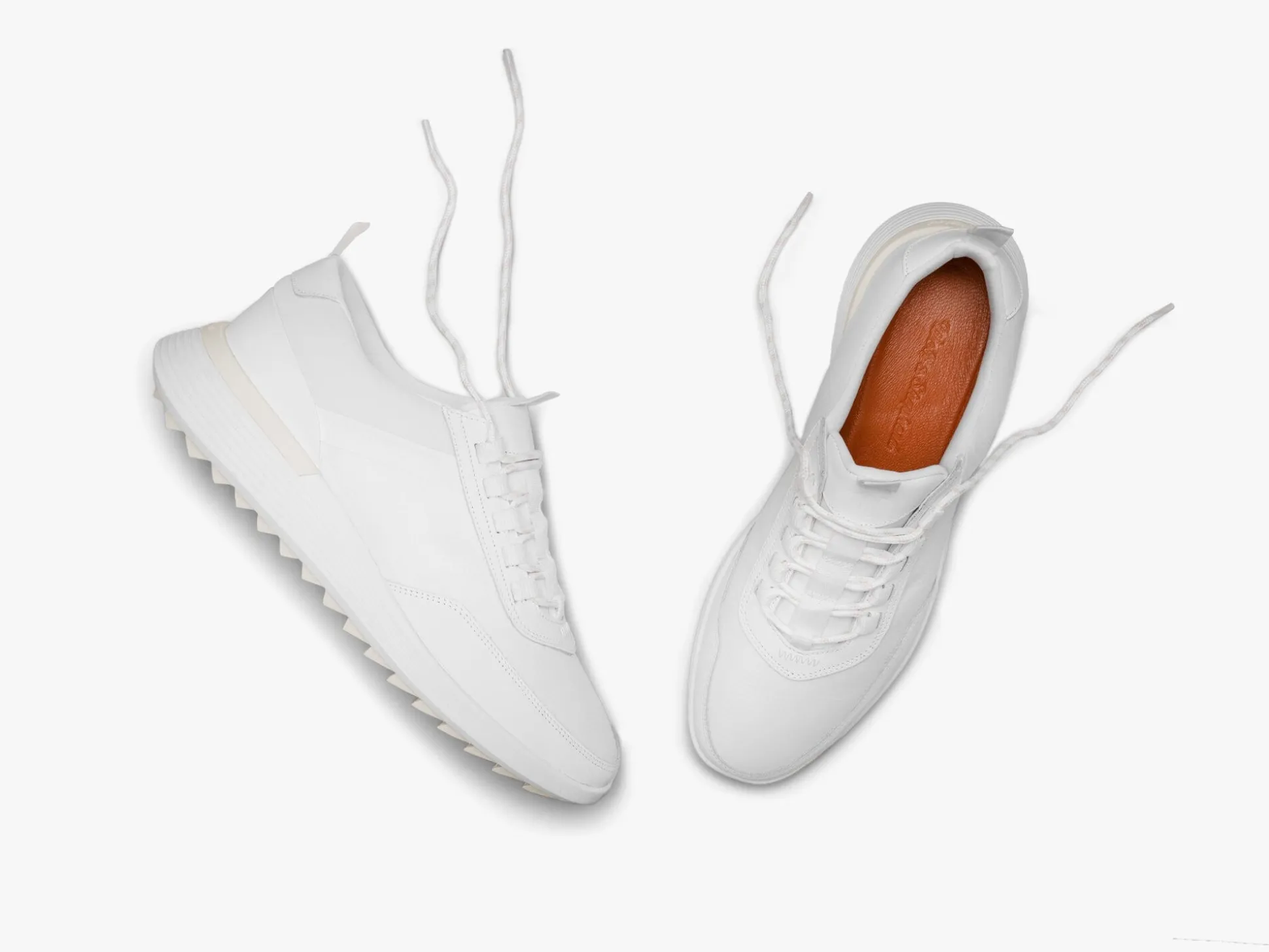 Wolf & Shepherd Crossover™ Trainer WTZ> Trainers | Hybrid Dress