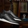 Wolf & Shepherd Crossover™ Victory Trainer> Trainers