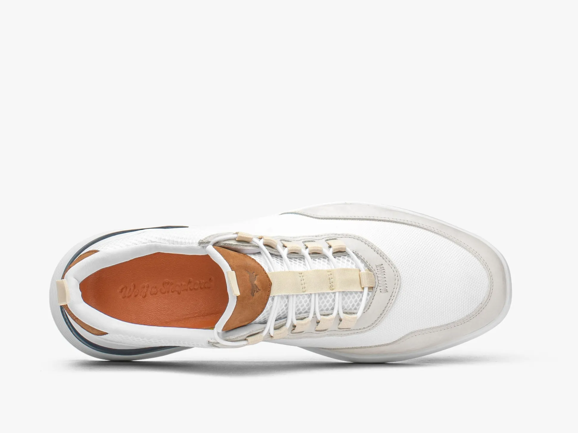 Wolf & Shepherd Crossover™ Victory Trainer> Hybrid Dress | Trainers